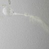Glas Vogl 60/120 mm  klar weiss mit Feder zum hängen
