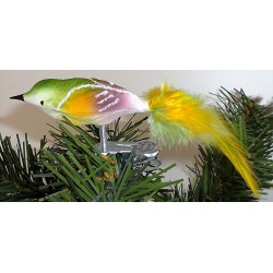 Glasvogel, samt weiß, Gold-grün-Orchidee mit Naturfedern