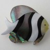 Natürliche Shell Fisch Broschen