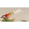 Glasvogel, mini-Vogel, Feder weiss