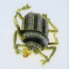 Käfer Broschen Strass Emaille vergoldet