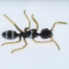 Ameise schwarz und Emaille Broschen