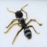 Ameise schwarz und Emaille Broschen