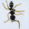 Ameise schwarz und Emaille Broschen