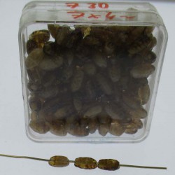 Glasperle 7x4mm gemischte in Box