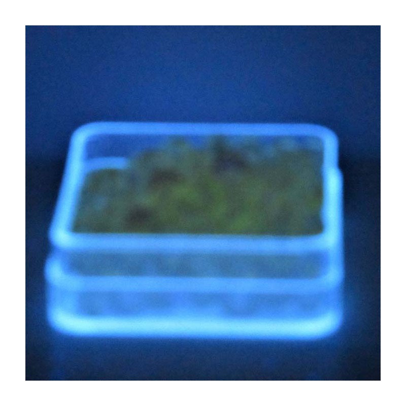 Uran-glas 6x6mm Glasperlen in Box
