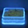 Uran-glas 6x6mm Glasperlen in Box