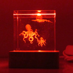 Glaswürfel 50mm mit Tintenfisch LED RGB Sockel Holz