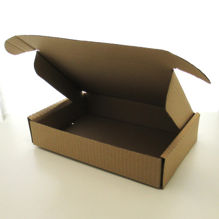 Maxibrief Karton 250 x 175 x 50 mm Aussen  1 wellig braun