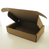Maxibrief Karton 250 x 175 x 50 mm Aussen  1 wellig braun