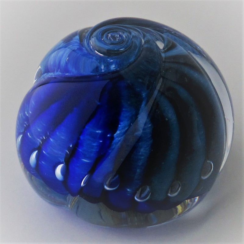 Glas Briefbeschwerer 55 mm Traumkugel    Muschel