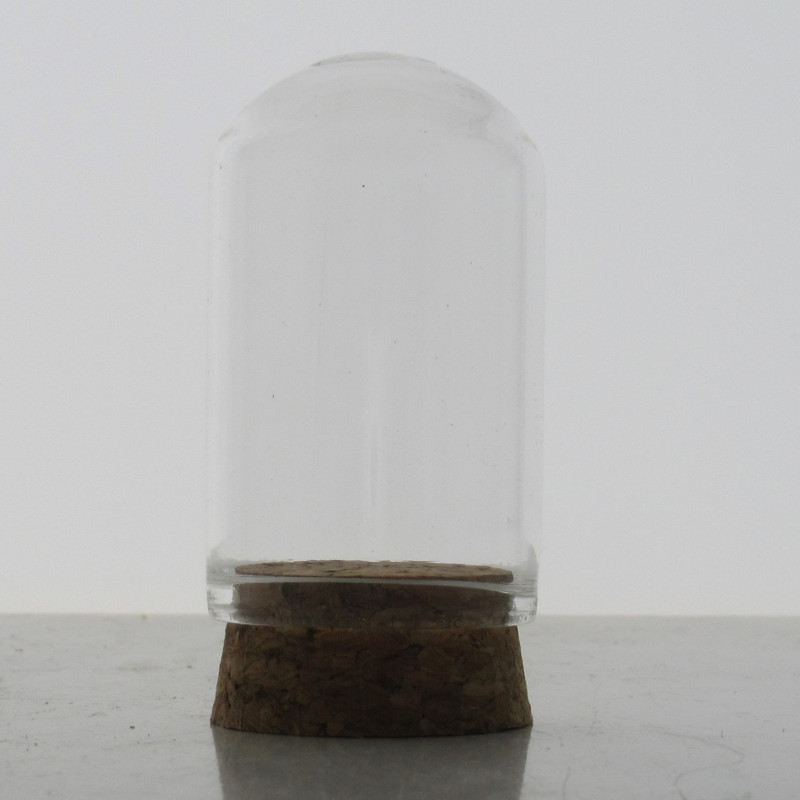 Glas Dom 50x30mm mit Kork Boden,