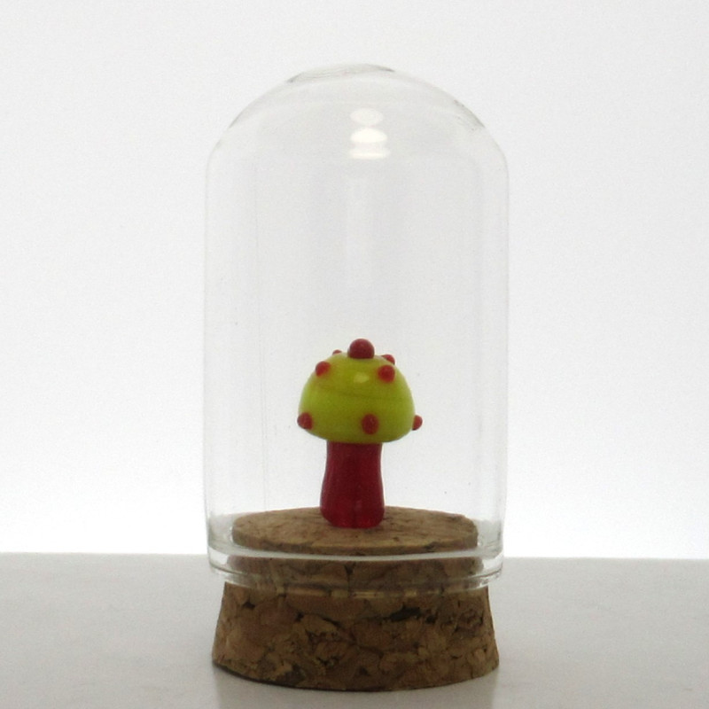 Glas Dom 50x30mm mit Glas-Pilz auf Kork Boden,