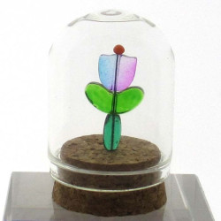 Glas Dom 40x30mm mit Kork Boden,