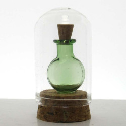 Glas Dom 50x30mm mit Glas-Pilz auf Kork Boden,