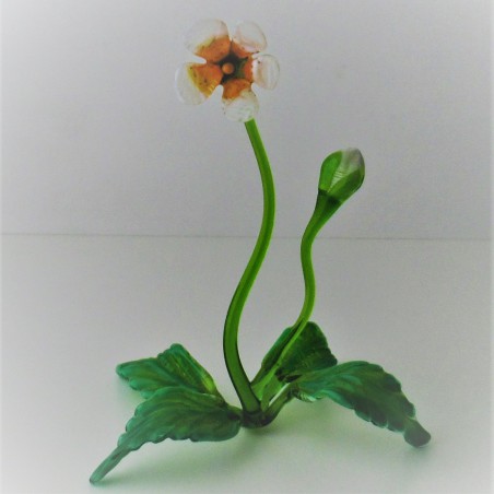 Glas Blümchen 10cm von  Vittorio Constantini Venezia  IT