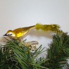 Glasvogel, Sommergoldhähnchen K & G Naturvögel mit Naturfedern