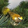 Glasvogel, Sommergoldhähnchen K & G Naturvögel mit Naturfedern