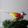Glasvogel, kleiner langer Vogel   mit Glasfaser Schwanz