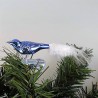 Glasvogel, mini-Vogel, Feder weiss,