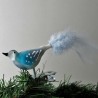 Glasvogel, kleiner Vogel, weiss-türkis-grau, mit Naturfedern