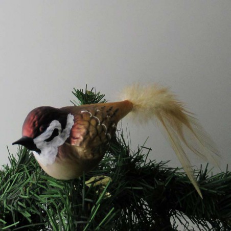 Glasvogel Feldsperling, mit Naturfedern