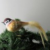 Glasvogel Feldsperling, mit Naturfedern
