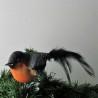 Glasvogel Dompfaff, mit Naturfedern