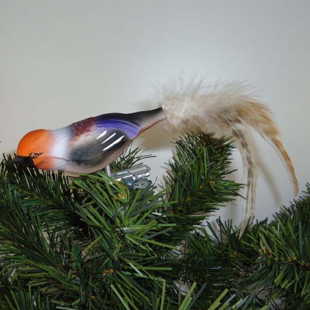 Glasvogel Kernbeisser K & G Naturvögel mit Naturfedern