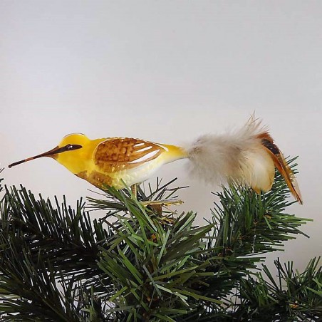 Glasvogel Bekassine mit Naturfedern