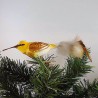 Glasvogel Bekassine mit Naturfedern