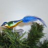 Glasvogel Blaumeise K & G Natur-Vögel