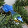 Glasvogel Blaumeise K & G Natur-Vögel