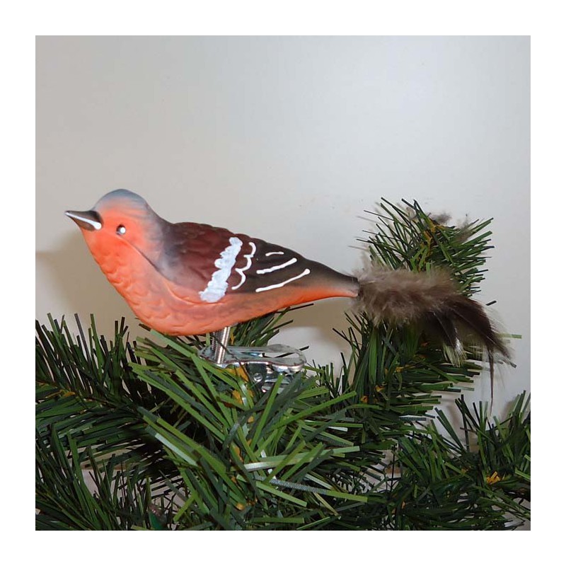 Glasvogel Buchfink K & G Naturvögel mit Naturfedern