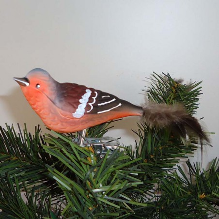 Glasvogel Buchfink K & G Naturvögel mit Naturfedern