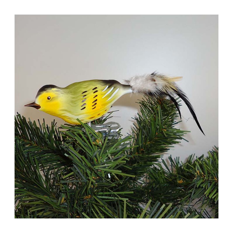 Glasvogel Erlenzeisig K & G Naturvögel Erlenzeisig mit Naturfedern