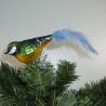 Glasvogel, Kohlmeise, mit Naturfedern
