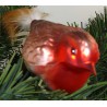 Glasvogel, Rotkehlchen, mit Naturfedern