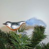 Glasvogel Kleiber K & G Naturvögel mit Naturfedern