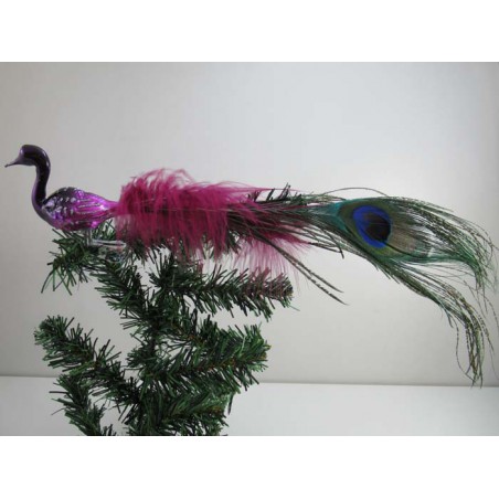 Glasvogel, kleiner Halsvogel pink mit Pfauenfeder