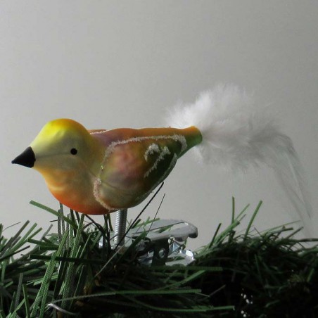 Glasvogel, kleiner Vogel matt ,  Feder weiss