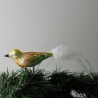 Glasvogel, kleiner Vogel matt ,  Feder weiss
