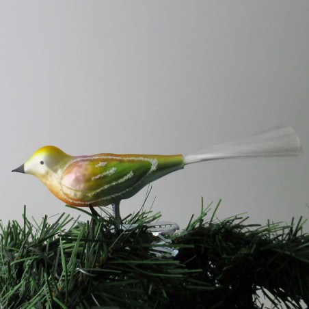 Glasvogel, kleiner Vogel matt, Glasfaserschwanz