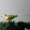 Glasvogel, kleiner Vogel matt, Glasfaserschwanz