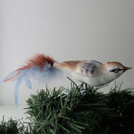 Glasvogel, kleiner Vogel,  mit Naturfedern