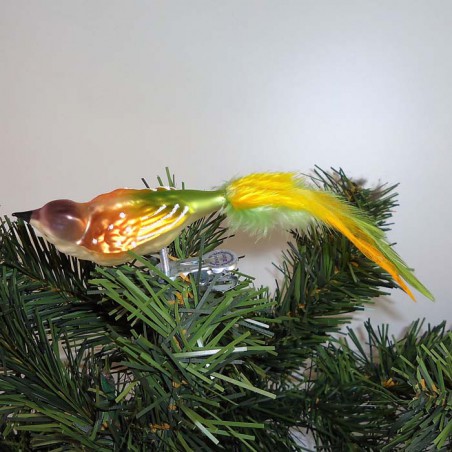Glasvogel, kleiner Vogel. mit Naturfedern