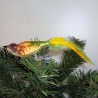 Glasvogel, kleiner Vogel. mit Naturfedern