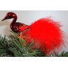 Glasvogel, mini-Halsvogel, mit Natur Federn
