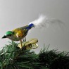 Glasvogel, mini-Vogel, grün-gelb-blau, Feder weiss,