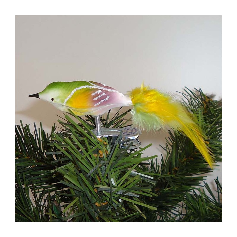 Glasvogel, samt weiß, Gold-grün-Orchidee mit Naturfedern